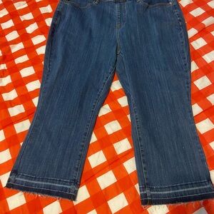 Judy Blue Dark Wash Cropped Jeans